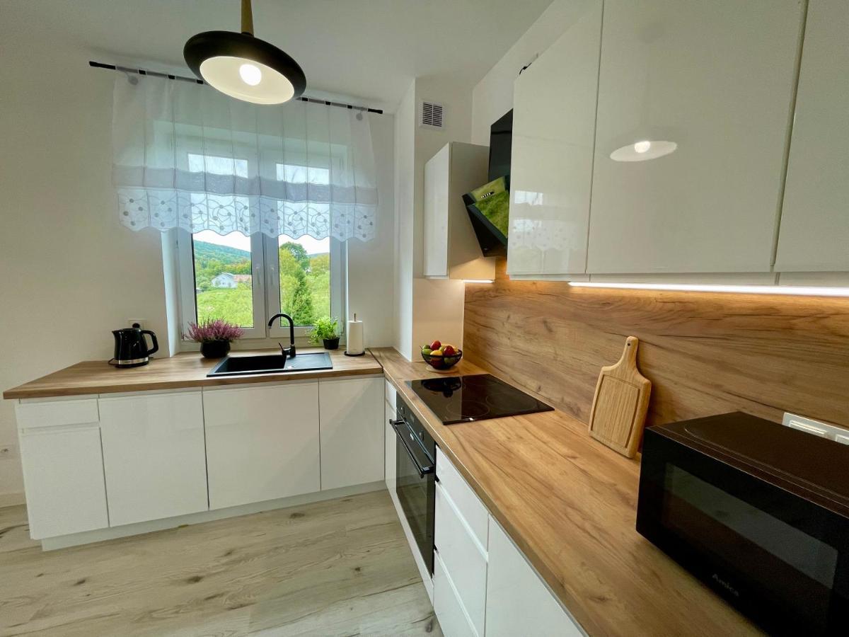 Apartament Jak Marzenie Ustrzyki Dolne Ngoại thất bức ảnh